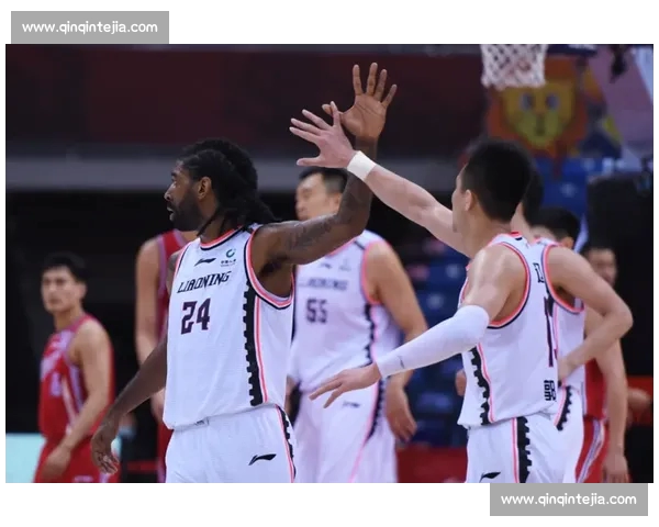 CBA赛事官网入口一站式赛程直播数据权威信息平台球迷服务指南